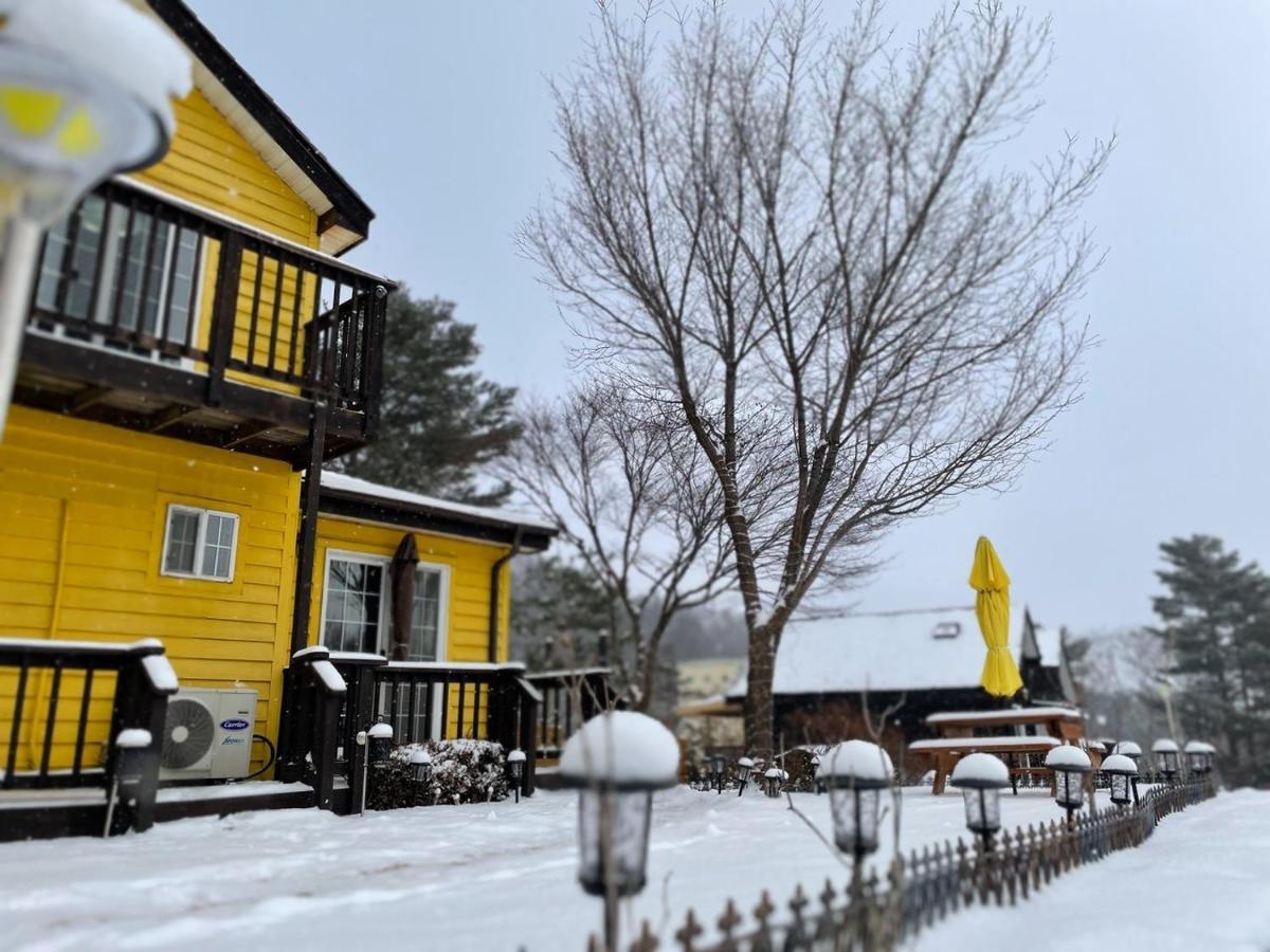 Honey Bear Pension بيونغتشانغ المظهر الخارجي الصورة